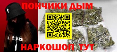 индика Тула