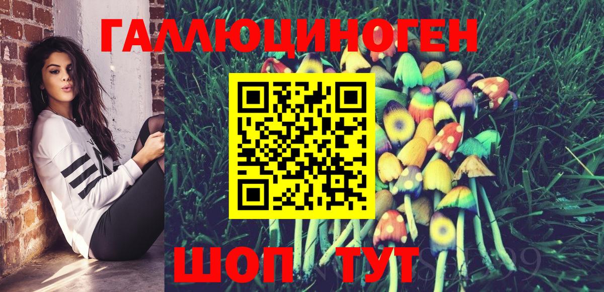 Тулун  Галлюциногенные грибы мухоморы  закладки  Вход с VPN 